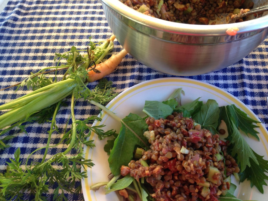 Strawberry Lentil Salad